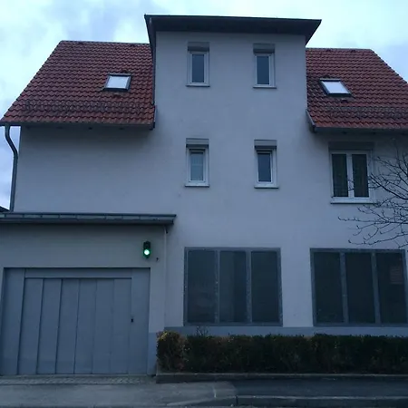 Schon Ii *
